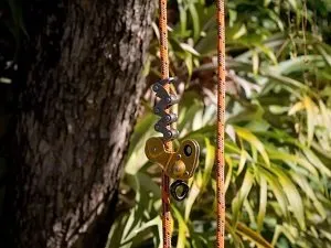 Tree care Ipswich QLD