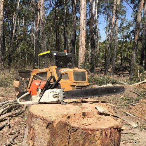Stump Removal Brisbane Southside