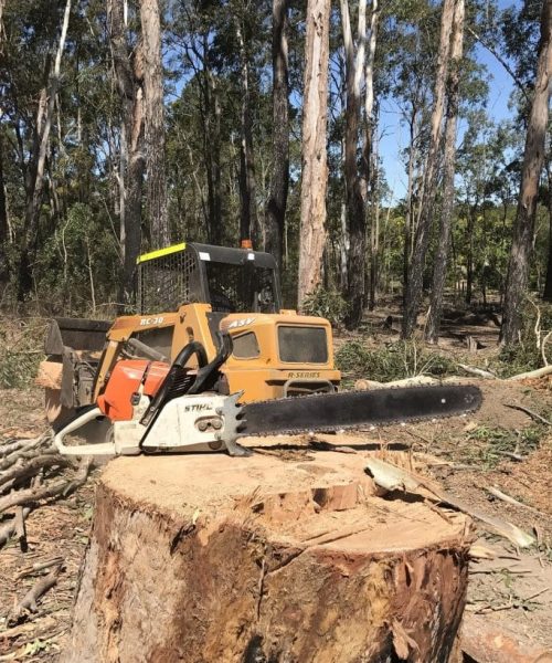 Stump Removal Brisbane Southside