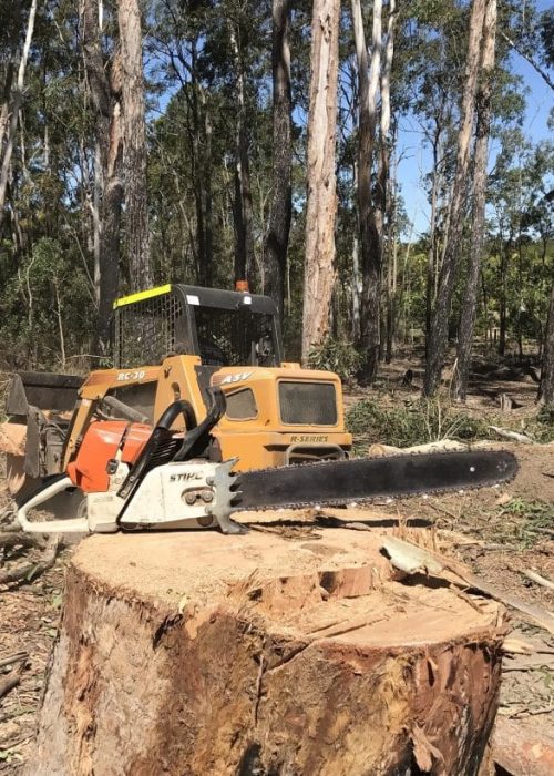 Stump Removal Brisbane Southside