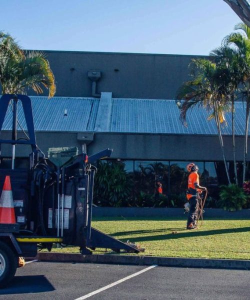 Tree Care Service Brisbane Southside